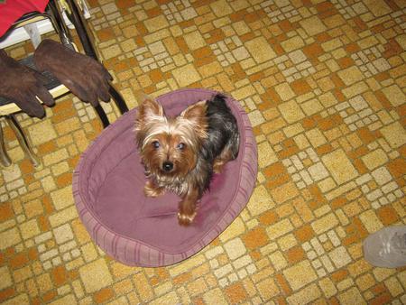 First night at home