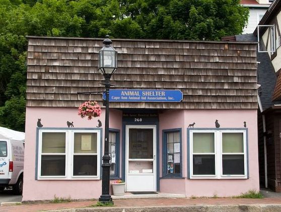 Photo Credit Cape Ann Animal Aid 2012 Main Street